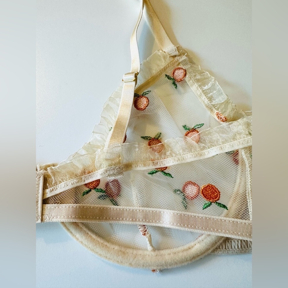 NEW! BED OF ROSES Bra Lingerie Mesh Ruffle Feminine Size Medium Embroidered - Picture 5 of 9